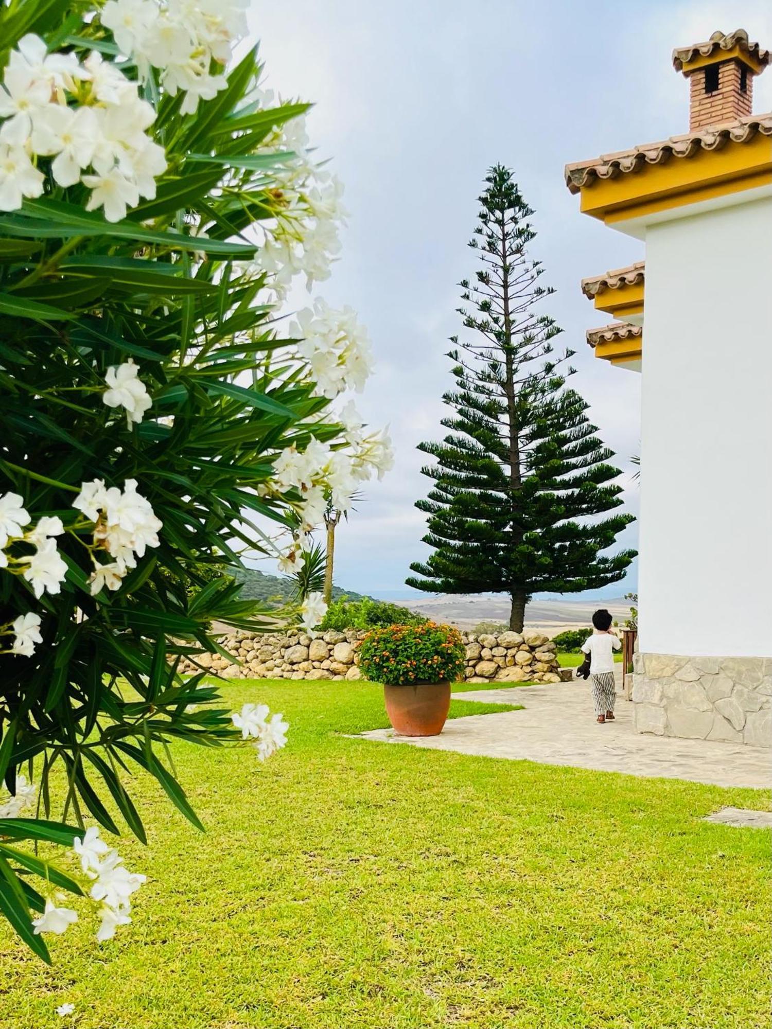 Finca La Vina Вьер де ла Фронтера Экстерьер фото